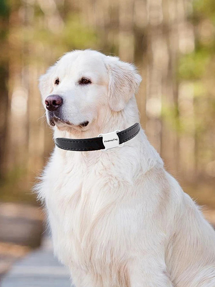 Real-Time Pet GPS Tracker — Waterproof with Unlimited Range