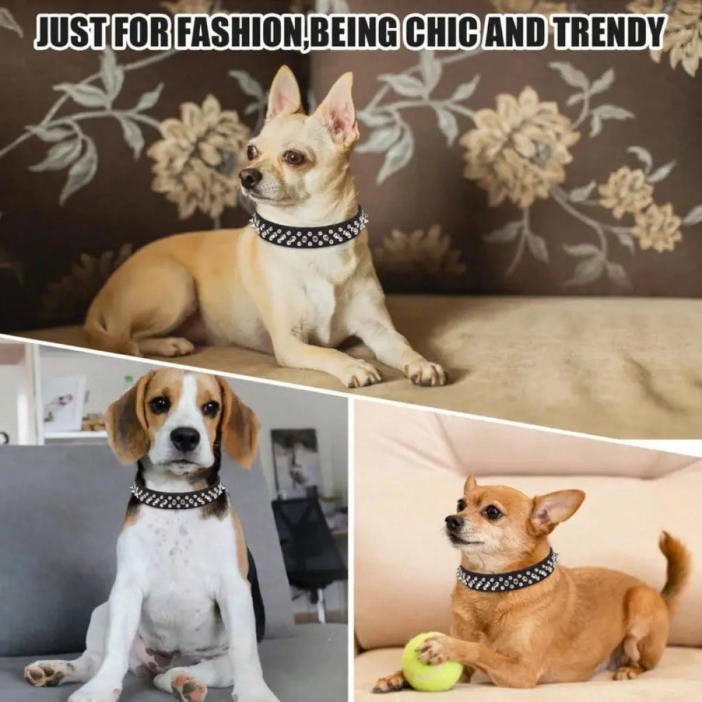 Genuine Leather Dog Collar — Premium Handcrafted Collection