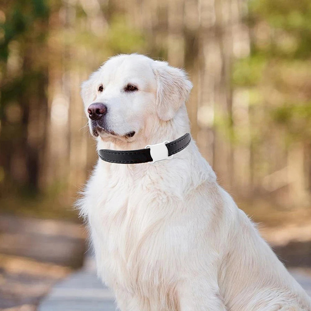 Real-Time Pet GPS Tracker — Waterproof with Unlimited Range