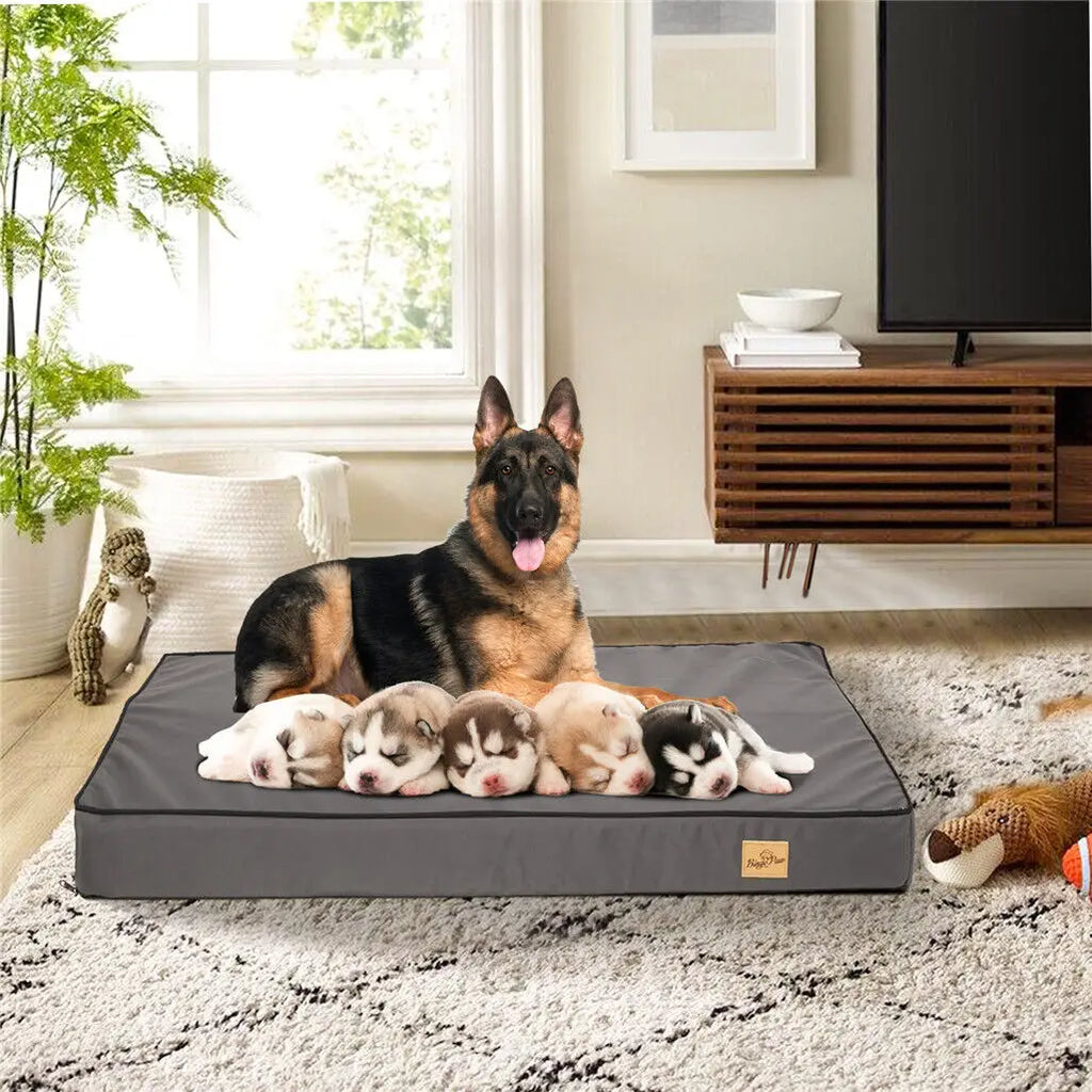 Waterproof Orthopedic Memory Foam Dog Bed — Jumbo Luxury Edition