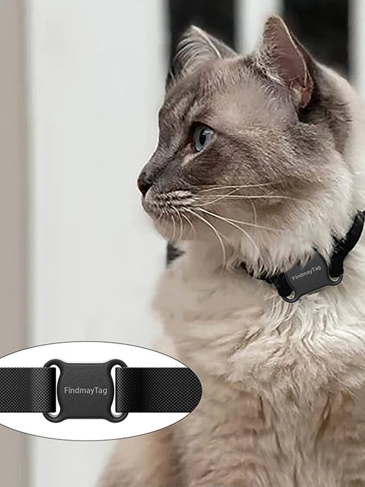 Real-Time Pet GPS Tracker — Waterproof with Unlimited Range