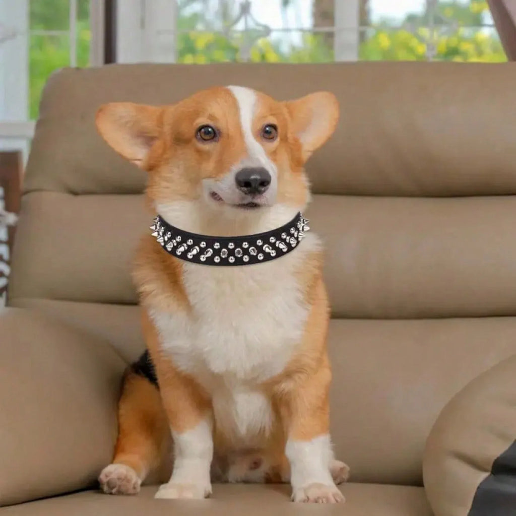 Genuine Leather Dog Collar — Premium Handcrafted Collection