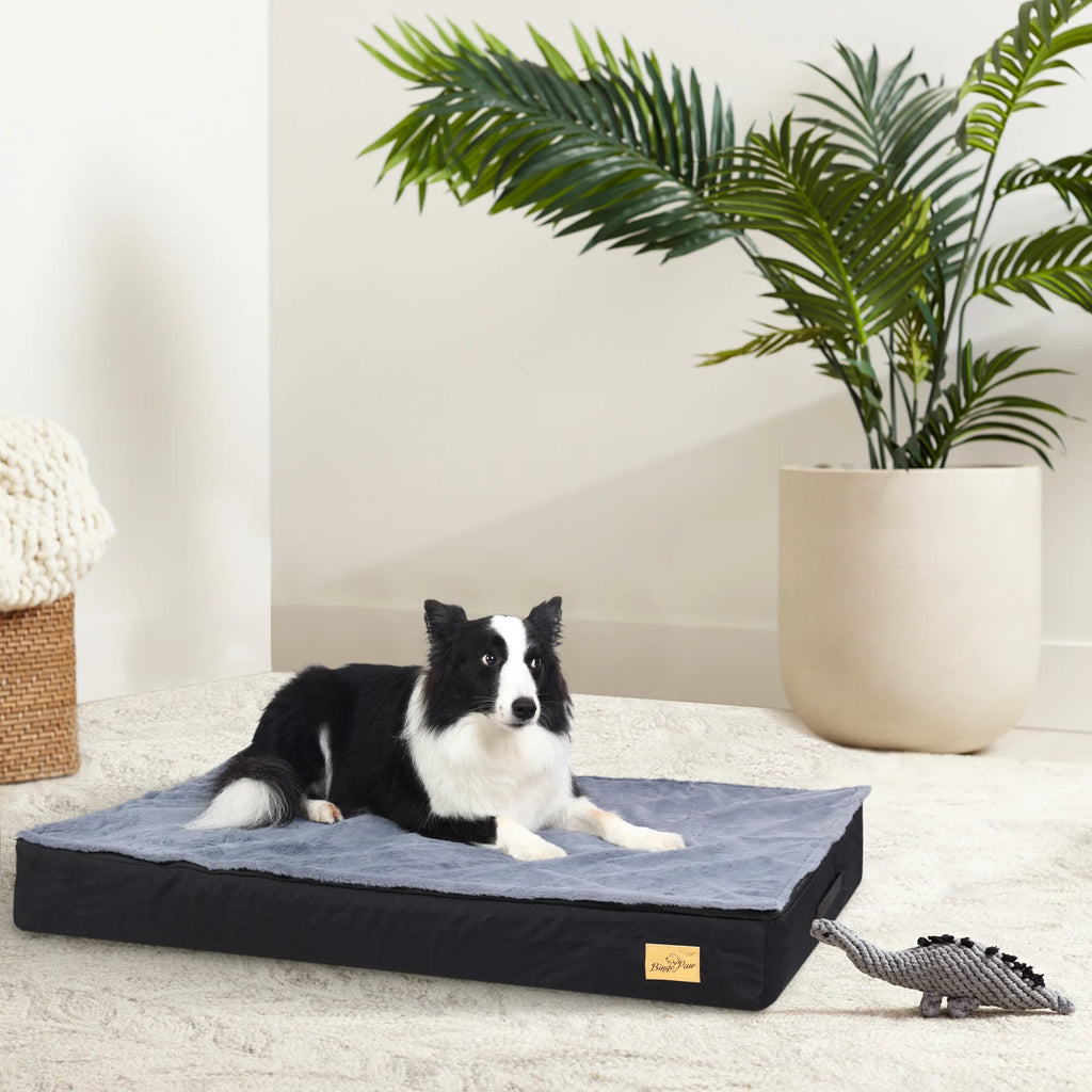 Waterproof Orthopedic Memory Foam Dog Bed — Jumbo Luxury Edition
